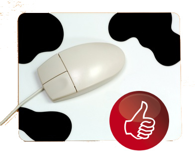 mousepads-guenstig-online-drucken-lassen - Individuelle XXL-Mousepads selbst gestalten und online bestellen!