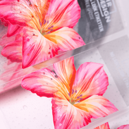 Detailaufnahme transparenter No-Label-Look-Etiketten auf Rolle